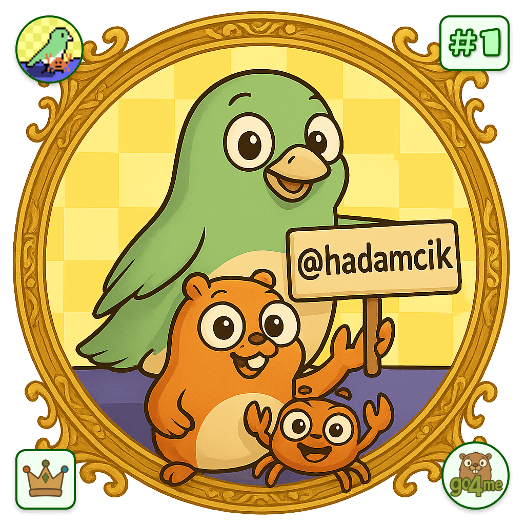 hadamcik avatar